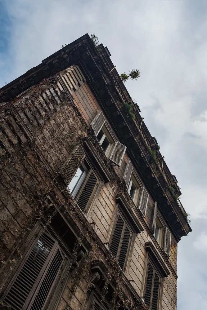 Why Choose Us for Housing Disrepair Claims